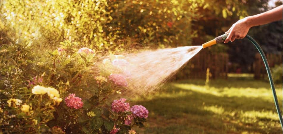 waterdrop filter benefits garden