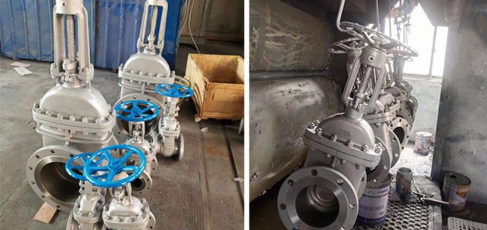 npt and socket weld valve end connection