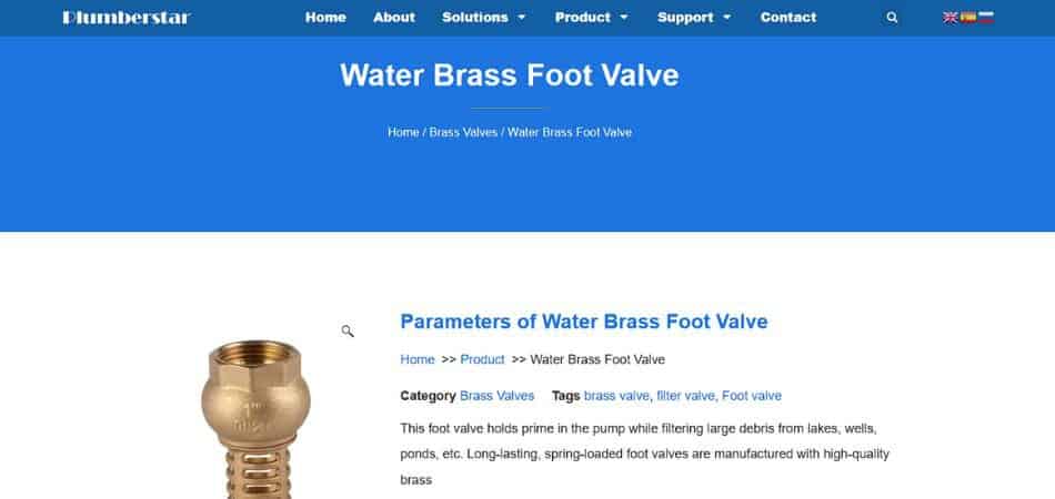 Foot valve from plumberstar