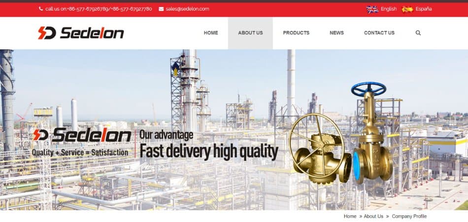 sedelon valve