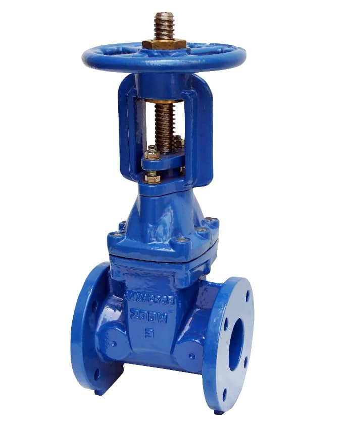 rising stem gate valve