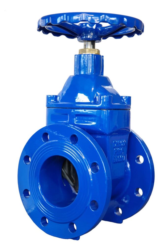 wedge shaped gate valve