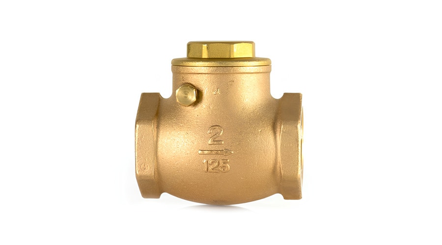swing check valve 2 inch