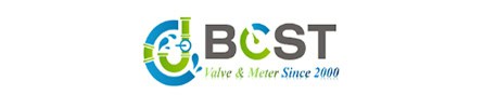 BCST Valve logo