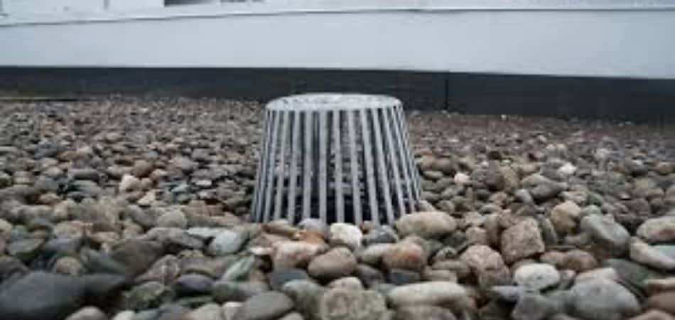 primary roof drains