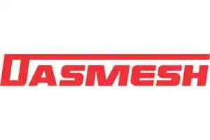 dashmesh logo