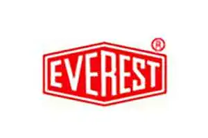 everest logo
