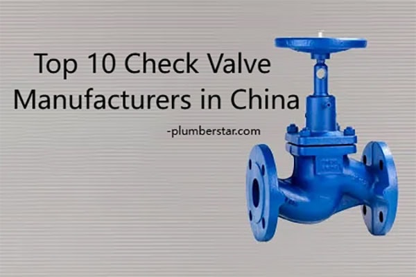 Top 10 Check Valve Manufacturers in China