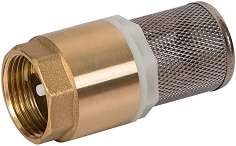 Check Valve With Filter - Image 2