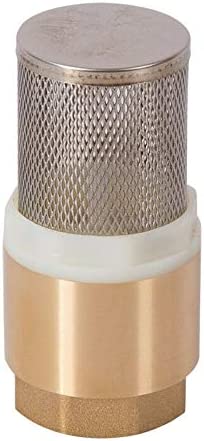 Check Valve With Filter - Image 4