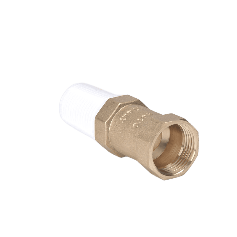 Water Pump Foot Check Valve - Image 4