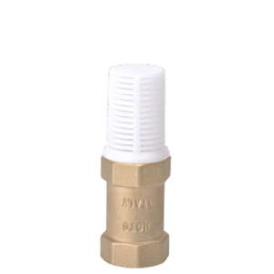 Water Pump Foot Check Valve