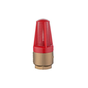 Spring Check Non-Return Valve