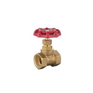 Brass Globe Valve