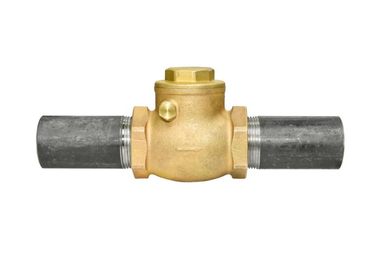 swing check valve
