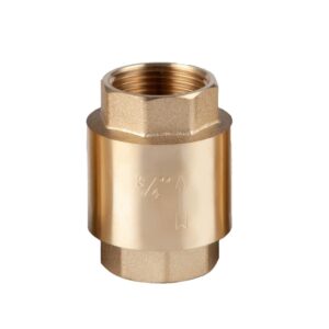 Water Spring Check Valve